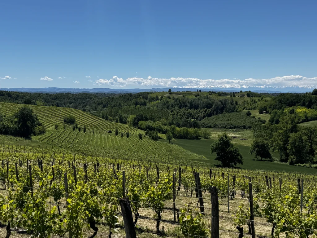 Quarto luogo del lavoro wine